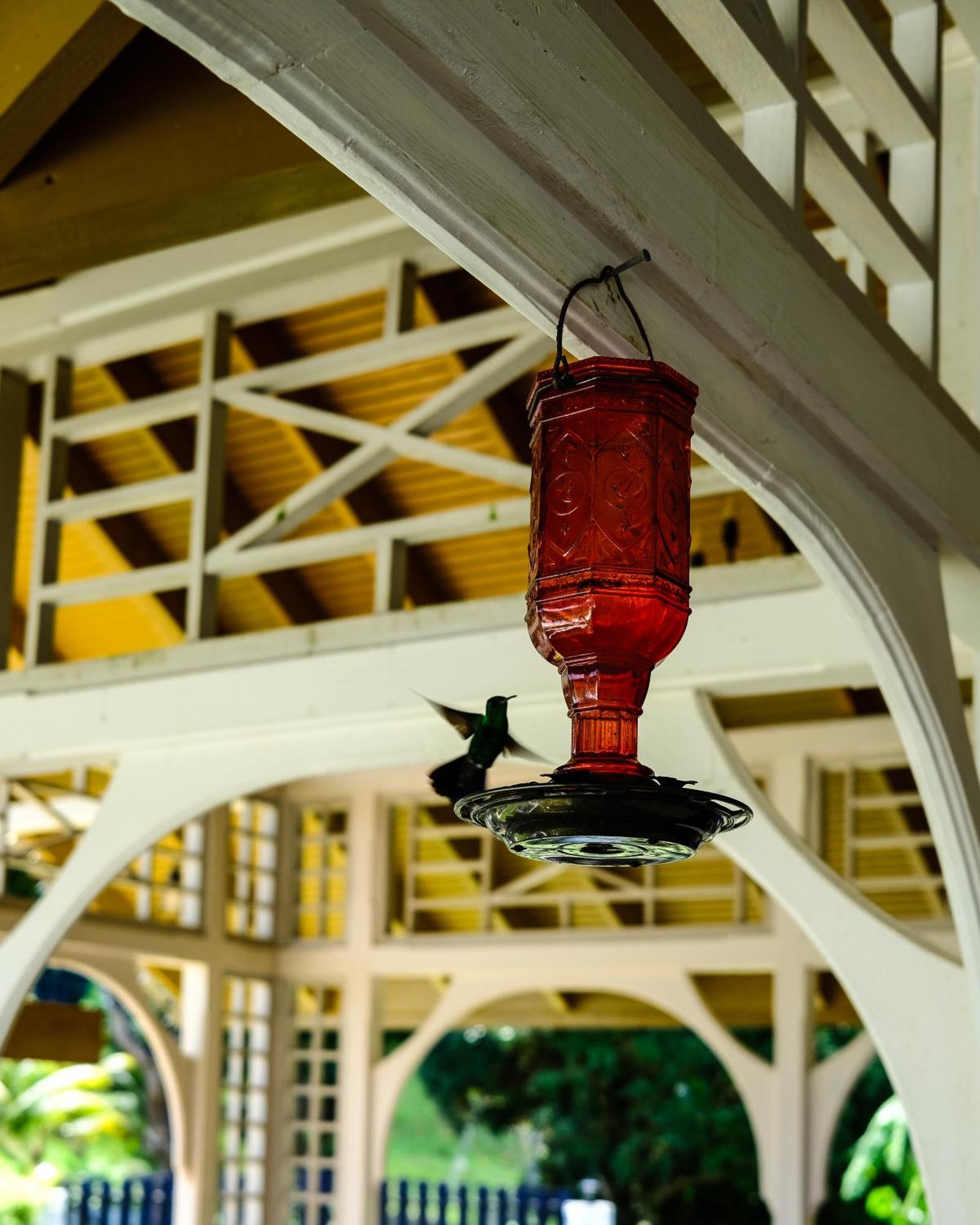 Silk Cotton Cottages Parrot Hall Exterior foto